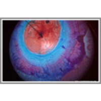 Complex Systems Art Performance icon