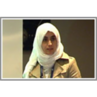 Topic Significance Ranking of LDA Generative Models icon