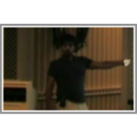 Higher Order Contractive auto-encoder icon