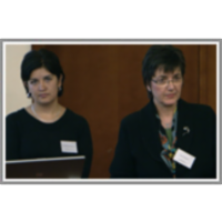 Representing nouns in the Diccionario de aprendizaje del español como lengua extranjera (DAELE) icon