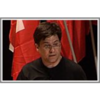 Emergence of complexity in biological networks: from selection to tinkering icon