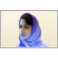 Wikipedia as an Ontology for Describing Documents icon