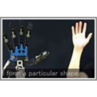 11. Copycat Hand for All icon