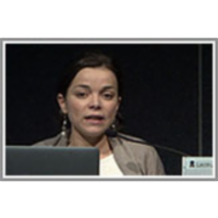 Statistical Knowledge Patterns: Identifying Synonymous Relations in Large Linked Datasets icon