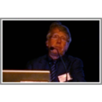 Panel with Representatives of the EFNIL Language Communities