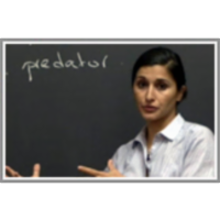 Linear Systems of Equations icon