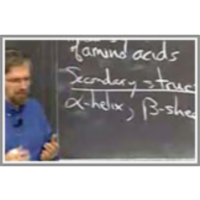 Lecture 4: Biochemistry III icon