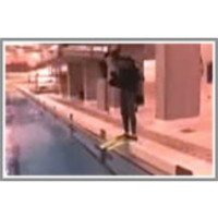 Entry: Giant stride icon