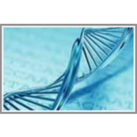 An Introductory Science Curriculum for 21st Century Biologists