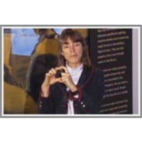 The Brain Basis of Human Vision icon