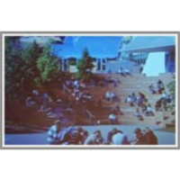 Placing Words: Symbols, Space, and the City icon