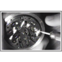 An Electrical Engineering View of a Mechanical Watch icon
