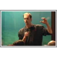 Upravljanje in življenje z rjavim medvedom v Sloveniji icon