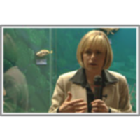 Pregled uporabe kamna v umetnosti na Slovenskem