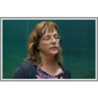 Morje kot slovensko okno v svet