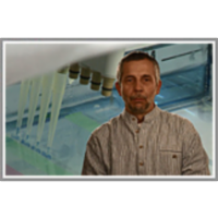 Comparative genomics and genomic biodiversity icon