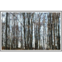 Obdelava lesa - varstvo pri delu z napravami