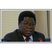 Presentation of Guinea Bissau icon