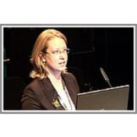 Comprehensive traffic management in Austria icon