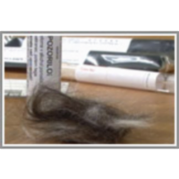 Genetske raziskave živali icon