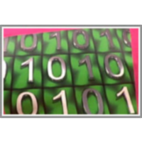 Sprogramirana družba