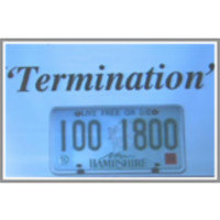 Lecture 3 - Rate and Selectivity in Radical-Chain Reactions icon