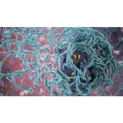 Alzheimer's Enigma icon