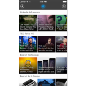 LinkedIn Pulse App for iOS icon