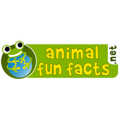 animal fun facts