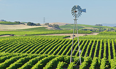 Agriculture and Environmental Sciences