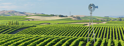 MERLOT Agriculture and Environmental Sciences